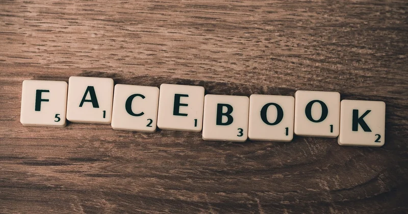 Which schema types bloggers actually need